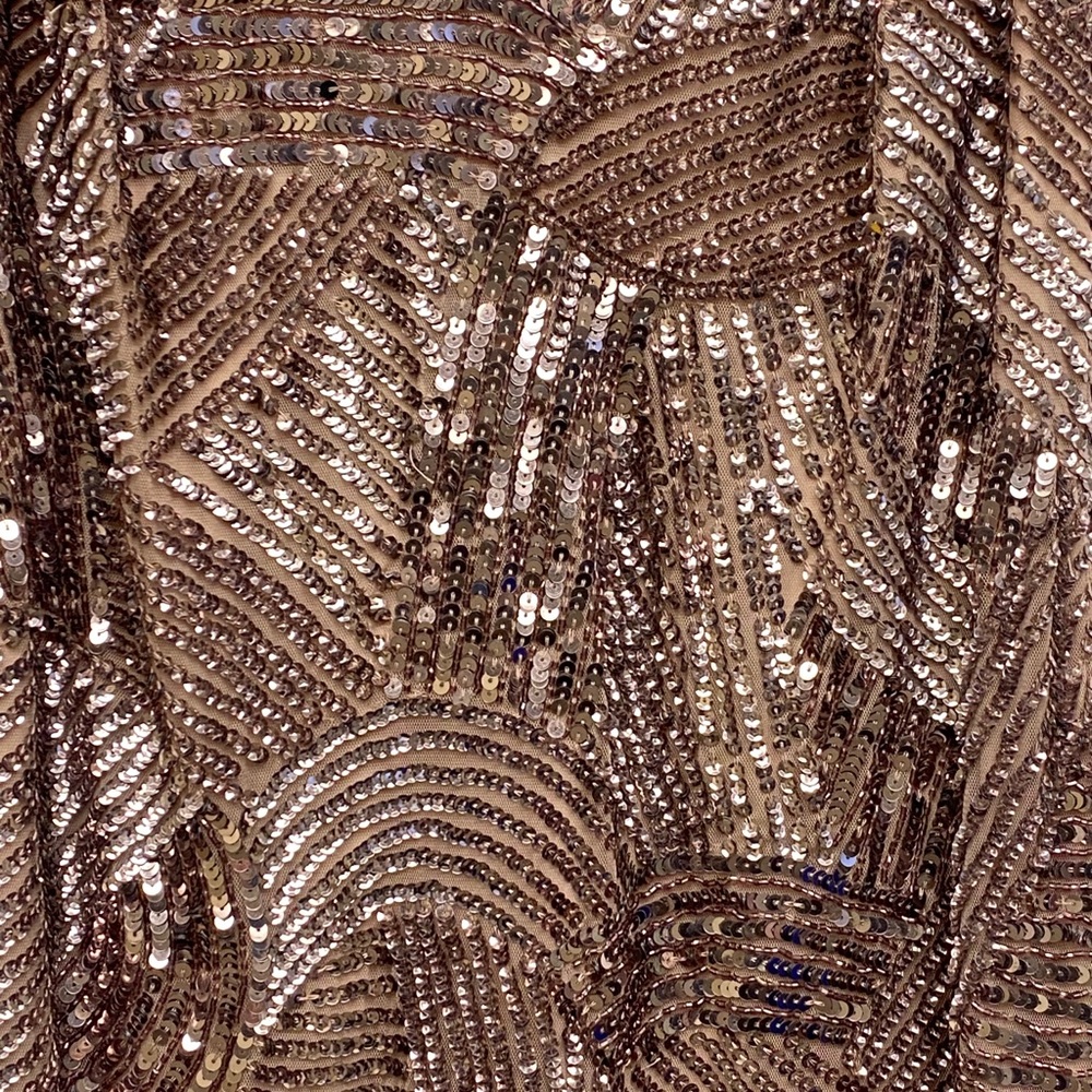 Adrianna Papell rose gold sequins& beaded sleeveless long gown - Picture 7 of 9